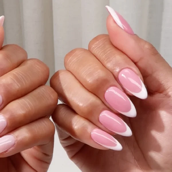 Blush Rose #884