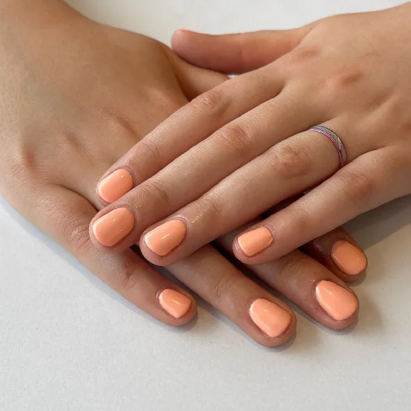 Sweet Apricot #619